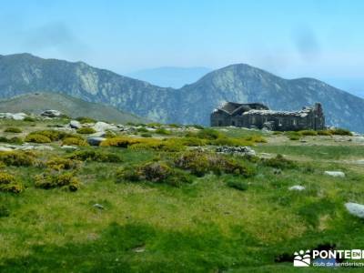 El Morezón - Sierra de Gredos; cerezos en flor; bosque de irati; rutas por madrid;programa de activ